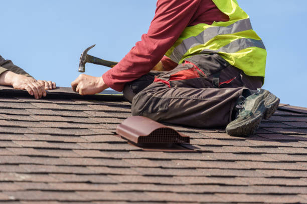 Best Affordable Roofing Company  in Hampton, IL