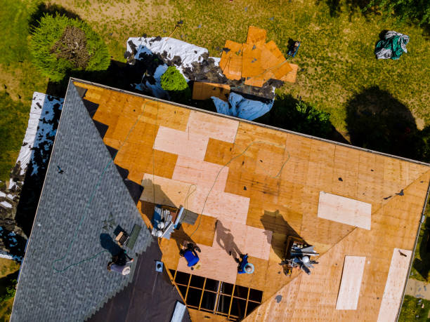 Best Affordable Roofing Company  in Hampton, IL