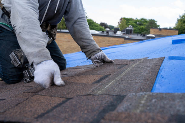 Trusted Hampton, IL Roofing Contractor Experts