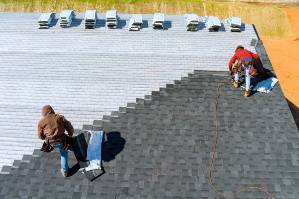 Best Roof Waterproofing Services  in Hampton, IL