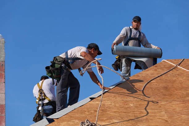 Best Shingle Roofing Installation  in Hampton, IL
