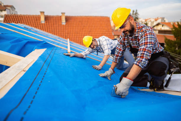Best Best Roofing Contractors  in Hampton, IL